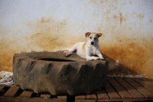 107755348_185320482935482_8650329791150165830_n