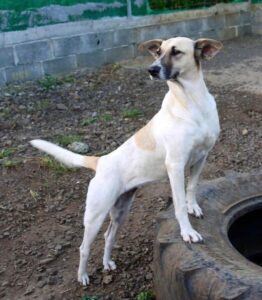 267097466_459138798886981_7732744272266993330_n