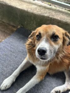 98959311-6b69-4131-9173-aa8f8726a7a1