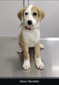 de400bda-4ec1-4fb4-97ee-9e96f4403c70