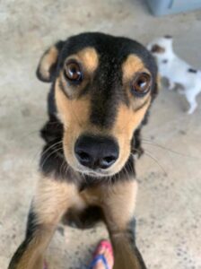 f52b4b98-613b-4b01-b022-84eace518095