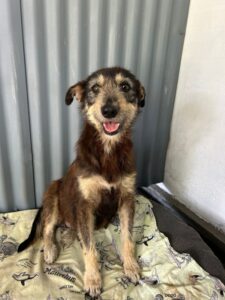 ec0af4f5-c235-40ea-9149-a1c01f7d4962