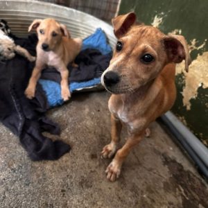 854d140d-03b6-4ca8-93f1-f0c1d4a0788c