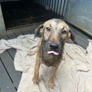 99e24409-fecf-45ad-ab4a-72c122b51e13