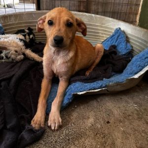 9f8239d4-7dca-4a1d-96f5-c781ffb7a9d1