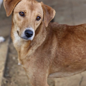 Capture-decran-2025-05-05-a-15.06.45