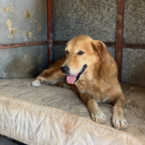 Capture-decran-2025-05-05-a-15.12.22