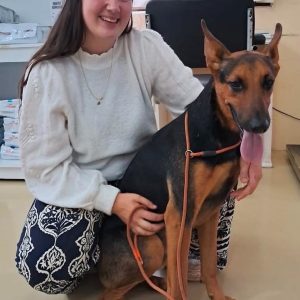 WhatsApp Image 2025-03-05 at 14.47.40