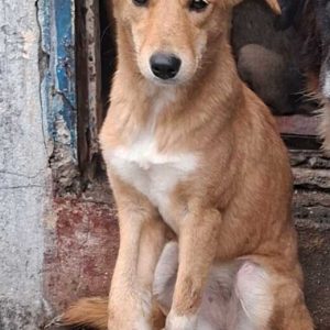 WhatsApp-Image-2025-07-11-a-13.29.22_92a8d6bc