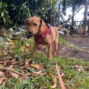 a21a467e-f86b-4a9a-a401-232d4ec2a960