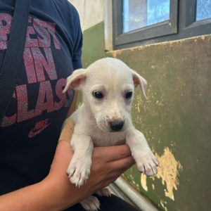 beef2d15-989b-4f08-a48b-e9ea8469d0f3