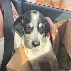 c4f01678-c29e-4404-80cd-cdcd1b95f511