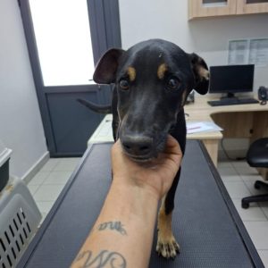 d0ad3ec9-eaa8-43bf-84d4-4998aa22c4bd