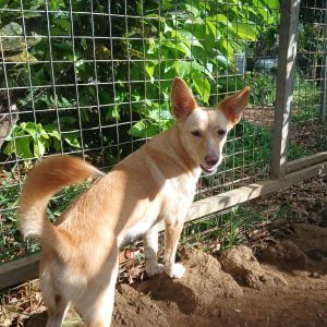 d80002bb-0699-4d3f-9fa4-8464370bd472