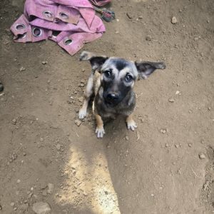 f3930607-be7a-4351-834d-dc2cc2ba2067